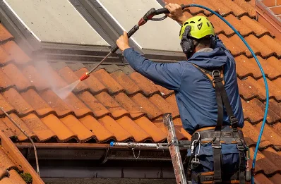 Démoussage et hydrofuge de toiture à Pin